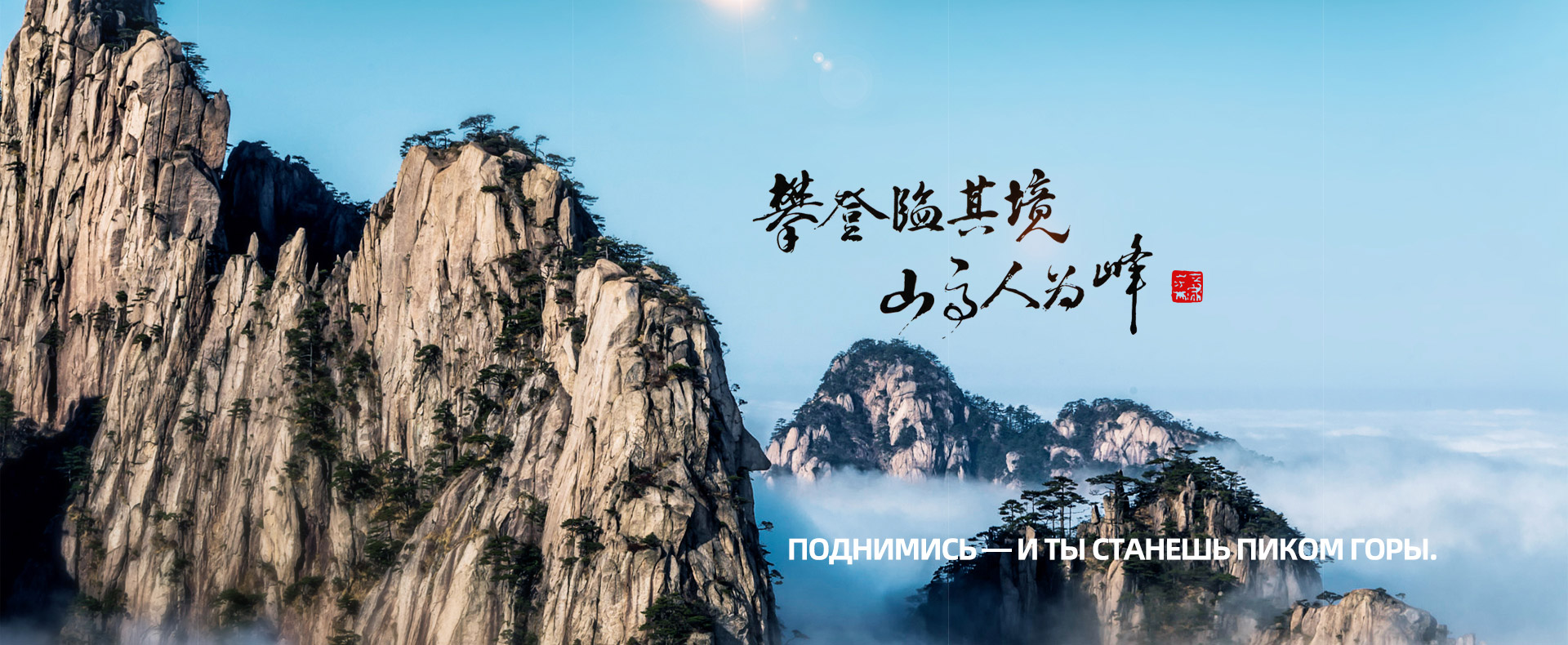 黄瓜视频免费下载